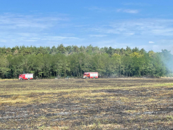 Négy hektáron égett a lekaszált fű Nemeskocsnál