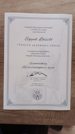 Szombathelyi tűzoltósági felügyelő vehette át a város rangos elismerését