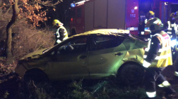 Erdős-bokros területre csapódott az autó Újkérnél