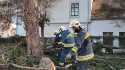 Viharkárok felszámolása Kőszegen