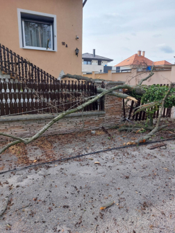 Viharkárok felszámolása Szombathelyen