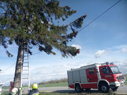 Viharkárok Csepregen és Tormásligeten 