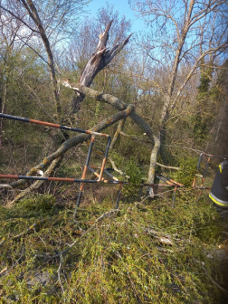 Viharkárok Csepregen és Tormásligeten 