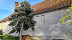 Szomszéd ház tetejére dőlt egy fa Kőszegdoroszlón