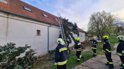 Szomszéd ház tetejére dőlt egy fa Kőszegdoroszlón