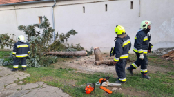 Szomszéd ház tetejére dőlt egy fa Kőszegdoroszlón