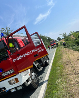 Négy kidőlt akác akadályozta a 8-as főút forgalmát