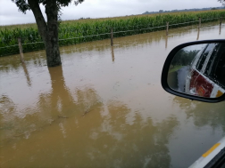 Védekezés az Őrségben