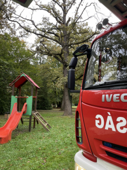 Faágakat távolítottak el a tűzoltók egy rumi gyógypedagógiai intézményben