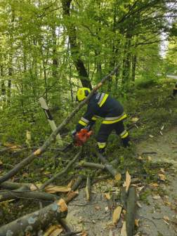 Fakidőlés a Szent Vid közelében