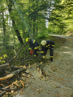 Fakidőlés a Szent Vid közelében