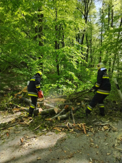 Fakidőlés a Szent Vid közelében