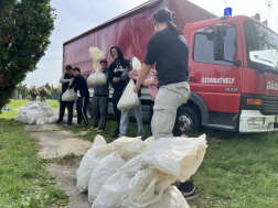 A Gépipari diákjai a viadal legjobbjai