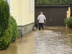 Elárasztott pincék, házakat körbeölelő, medrükből kilépő folyók