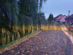 Fakidőlések, faágak leszakadása adott feladatot