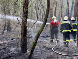 Továbbra is folynak a tűzoltási munkálatok a Csönge és Kenyeri közötti erdős területen