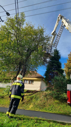 Magasban vágták le az eperfa öles ágát Őriszentpéteren