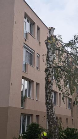 Katasztrófavédelem