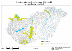 Szunyoggyerites_2025_33het_Tervezett