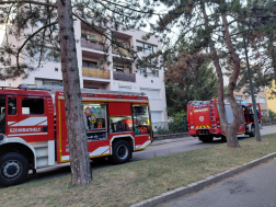 Katasztrófavédelem