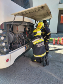 Katasztrófavédelem