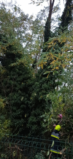 Katasztrófavédelem