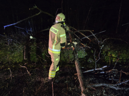 Villany- és távközlési vezetékre dőltek a fák Szalafőn