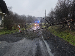 Villany- és távközlési vezetékre dőltek a fák Szalafőn