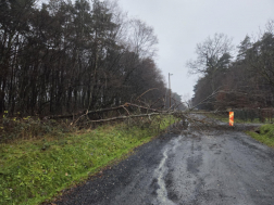 Villany- és távközlési vezetékre dőltek a fák Szalafőn