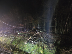 Villany- és távközlési vezetékre dőltek a fák Szalafőn