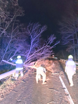 Fakidőlés Bük és Acsád között