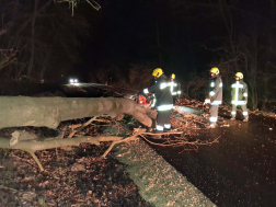 Fakidőlés Bük és Acsád között