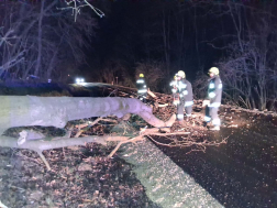 Fakidőlés Bük és Acsád között