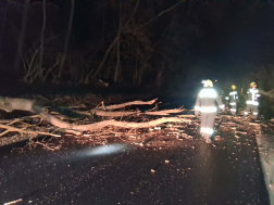 Fakidőlés Bük és Acsád között