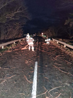 Fakidőlés Bük és Acsád között