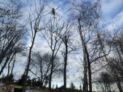 Ismét bajbajutott túrázót mentettek a tűzoltók a Kőszegi-hegységbe