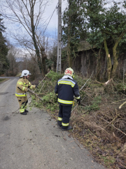 Fakidőlés Őriszentpéteren