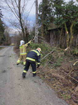 Fakidőlés Őriszentpéteren
