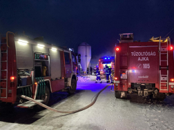 Kétezer pulyka veszett oda a jánosházi istállótűzben