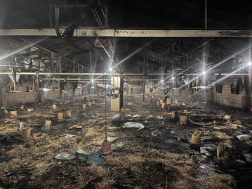 Kétezer pulyka veszett oda a jánosházi istállótűzben