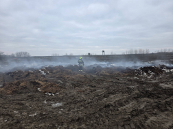 Trágyadepó tűzesete Nicken