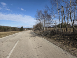 Huszonhat beavatkozás viharkároknál