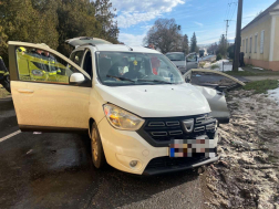 Kutyákat mentettek a tűzoltók a Nagysimonyinál történt balesetben