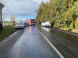 Kutyákat mentettek a tűzoltók a Nagysimonyinál történt balesetben