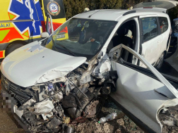 Kutyákat mentettek a tűzoltók a Nagysimonyinál történt balesetben