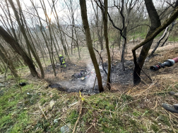 Csehimindszent tűzeset erdős területen