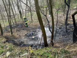 Csehimindszent tűzeset erdős területen