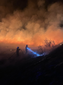 Marcal parton égett a nádas