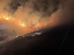 Marcal parton égett a nádas