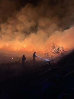 Marcal parton égett a nádas